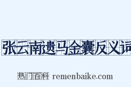 张云南遗马金囊反义词是什么意思的图片